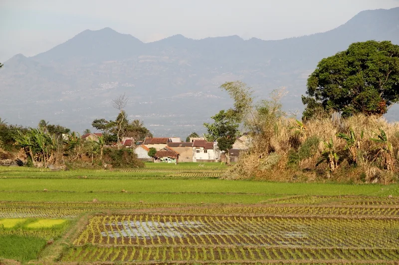 outskirts of Cipanas