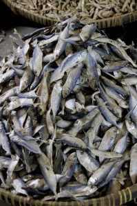 dried fish is an indelible element of every Indonesian market