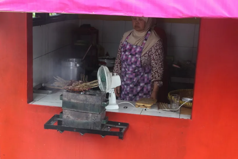 part-electrical cooking device for sates