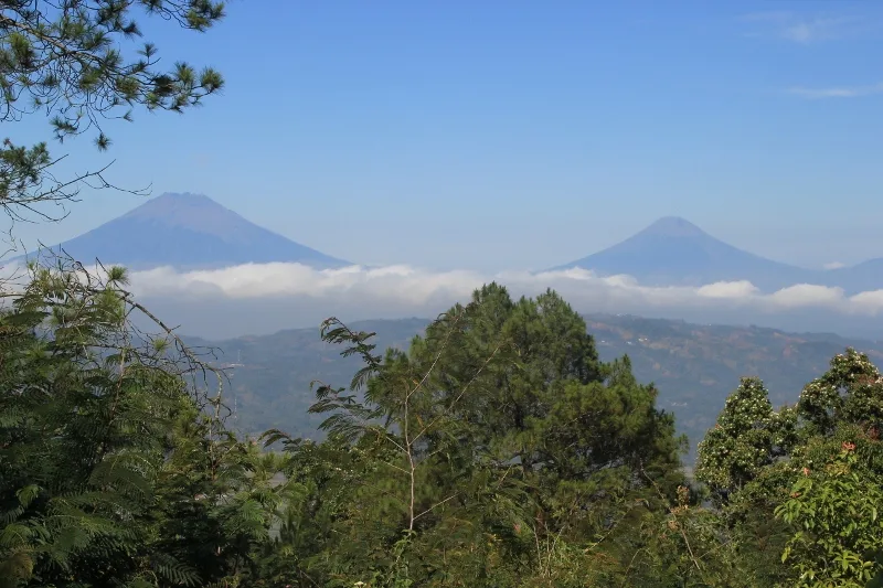 Gunung Sindoro and Gunung Sumbing