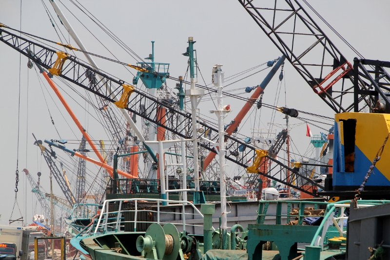 extensive network of cranes in the harbour