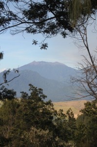Gunung Raun, the highest volcano on the Iljen Plateau