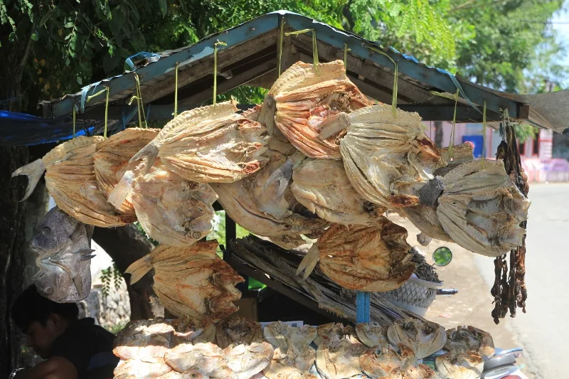 dried fish
