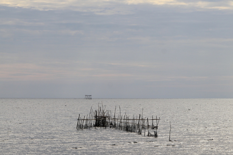 fishing nets along the coast outside Pare Pare
