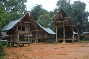 Loko village, with houses and rice barns