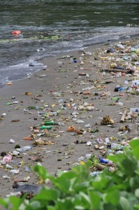 the beaches near the harbour are somewhat polluted, to say the least
