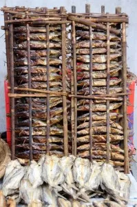 or just a rack of grilled fish