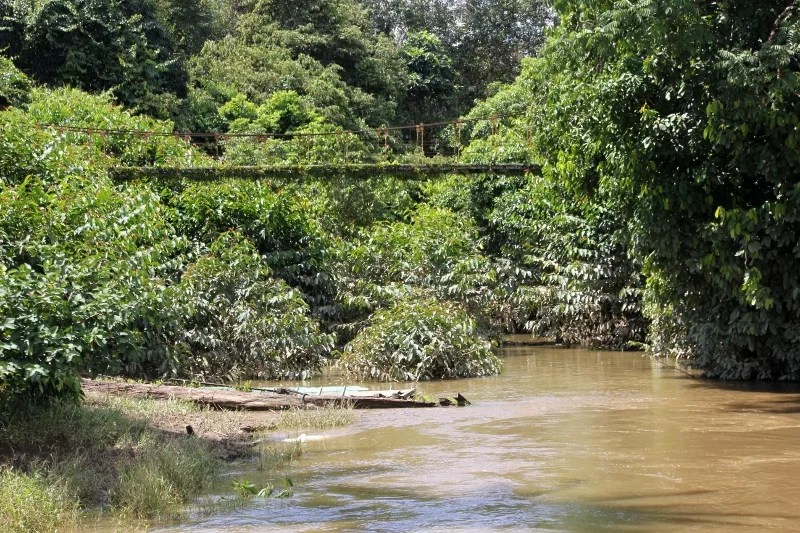 suspension bridge across a tributary at Long Hubung