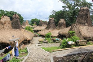 overview of Kampung Waitabara