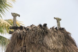 sticks – the horns of the house – on the roof of one of the houses