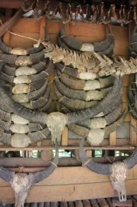 here, too, verandah decoration