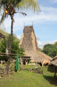 Waiwuli village house