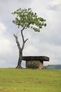 lonely tomb on the pasola field of Hobakala