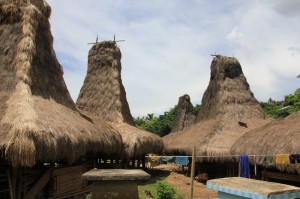 another view of Motodawu