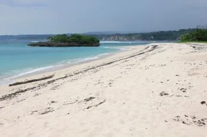the beach