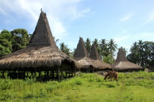 the village of Rangabaki