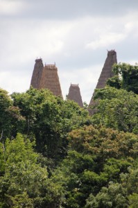 the view of Wainyapu across the river, tall houses sticking out above the tree tops