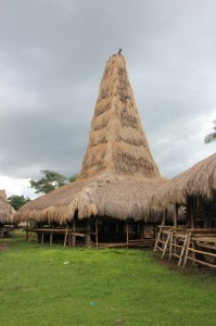 one of the tall roofs in Paranobaroro