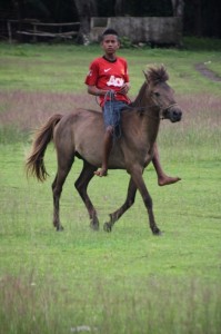 young boy riding across the pasola field
