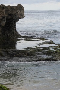 sharp limestones along the beach of Pero