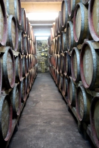 wooden barrels lined up in the cellar of Rotenberg's estate