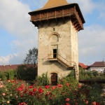defense tower on the wall surrounding Humor Monastery
