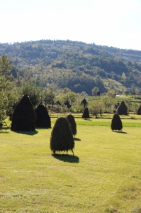 hay stacks, perhaps one of the most characteristic views in Maramures