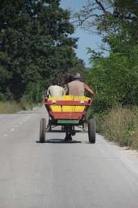 lost of transport in the countryside is still by horse-drawn cart