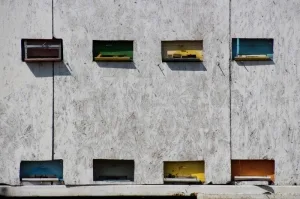 bee hives in the side of a truck, the standard method to collect honey in Romania
