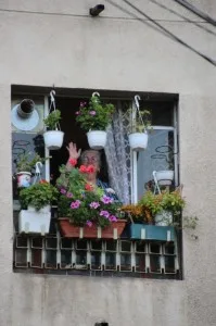 one the inhabitants is perfectly happy, here