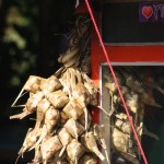 sticky rice parcels on a food stall in Medan