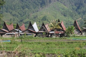 other villages, near jangga, are also full of traditional houses 