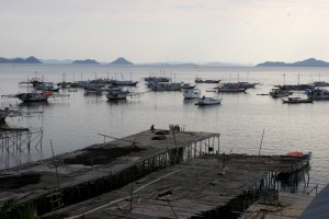 late afternoon view of the fishing fleet
