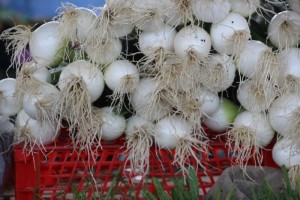 spring onions - but spring is big, here!
