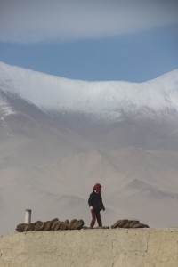a girl arranging the yak dung cakes on the roof