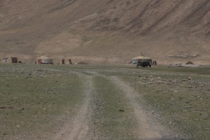 a group of yurts and yaks, ready for the summer