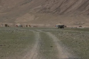 a group of yurts and yaks, ready for the summer
