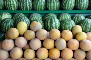 melons and watermelons