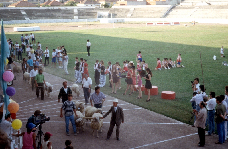 sheep constest in the Tirana stadium