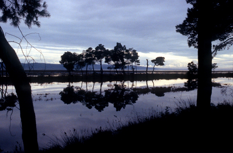 the Karavasta lagoon, separated from the sea in the back