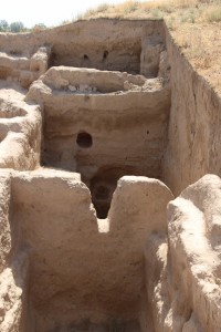 the recognisable remains of houses in ancient Penjikent