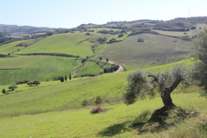 Sicilian countryside 
