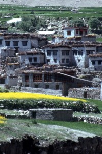 white-washed village houses and yellow flowers