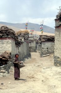 small village on the road to Gyantse