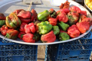 these peppers are roasted - by the sun, I would think