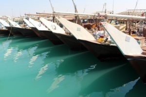 fishing dhows lined up in Al Ruwais harbour